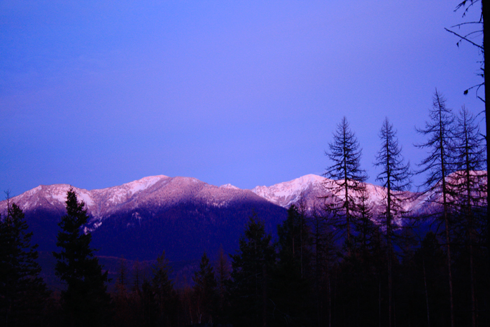 decchallengealpenglo7004672